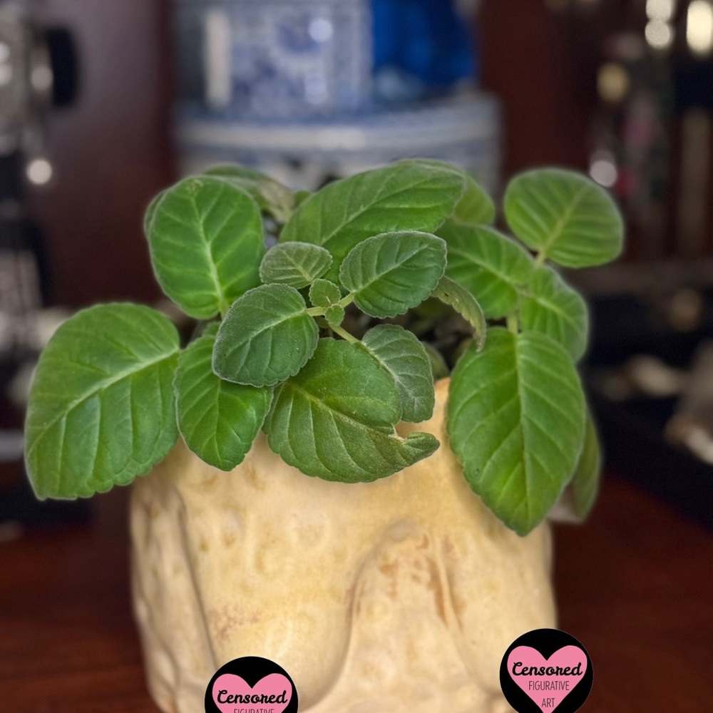 She's a Handmade Ceramic Planter